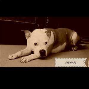 Meet your Posher, Lindzey